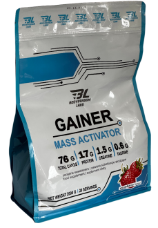 Gainer Mass Activator, Bodyperson Labs, 2 kg